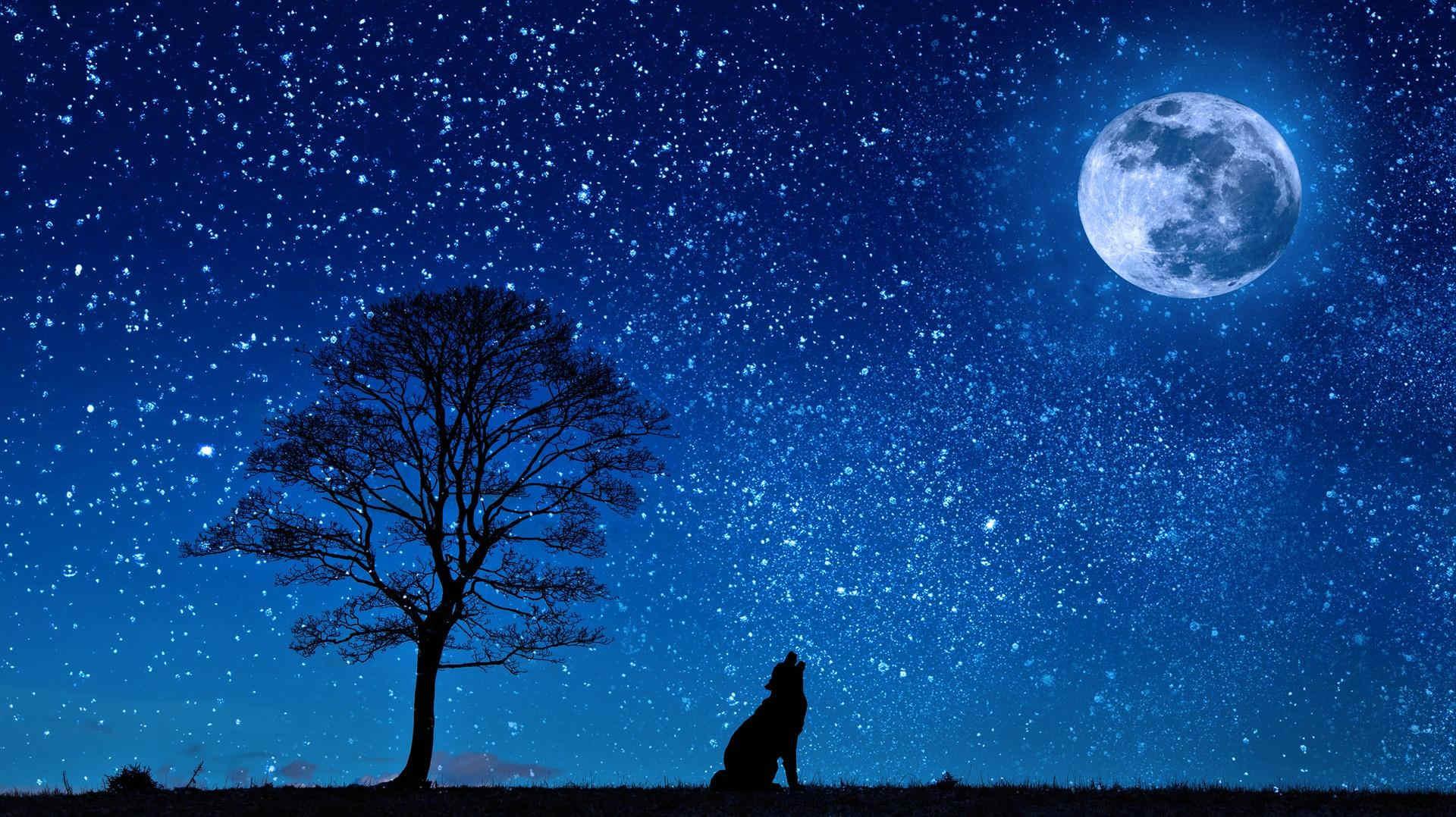 Utopia, wold and moon